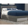 Twin XL Trundle Bed Gray - AFI -Baxton Studio Store GUEST 08f67986 f753 4aaa a849 b12dbf78b98a