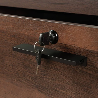 Briarbrook 2 Drawer Lateral File Barrel Oak - Sauder 6 Briarbrook 2 Drawer Lateral File Barrel Oak - Sauder - Image 4