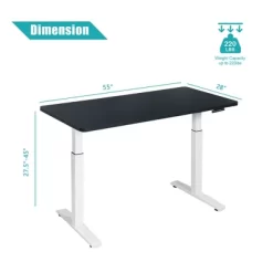 Costway Electric 55''x28'' Standing Desk Sit To Stand Workstation Dual Motor
