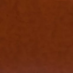 Emma And Oliver Leather Reception/Living Room Loveseat With Cherry Wood Feet -Baxton Studio Store GUEST 9315da0a ff23 4d07 89e6 7d404ba3db63