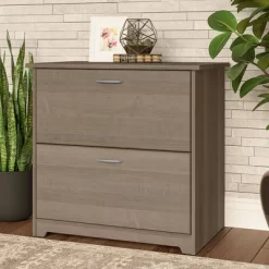 Cabot 2 Drawer File Cabinet Ash Gray - Bush Furniture